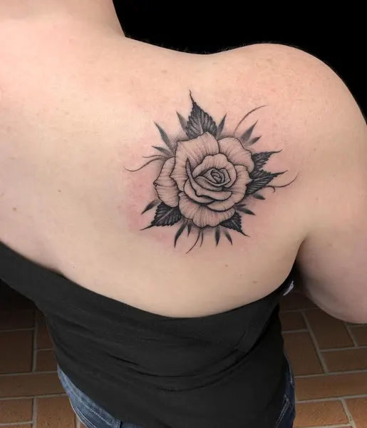 Flower, Rose, Nature
