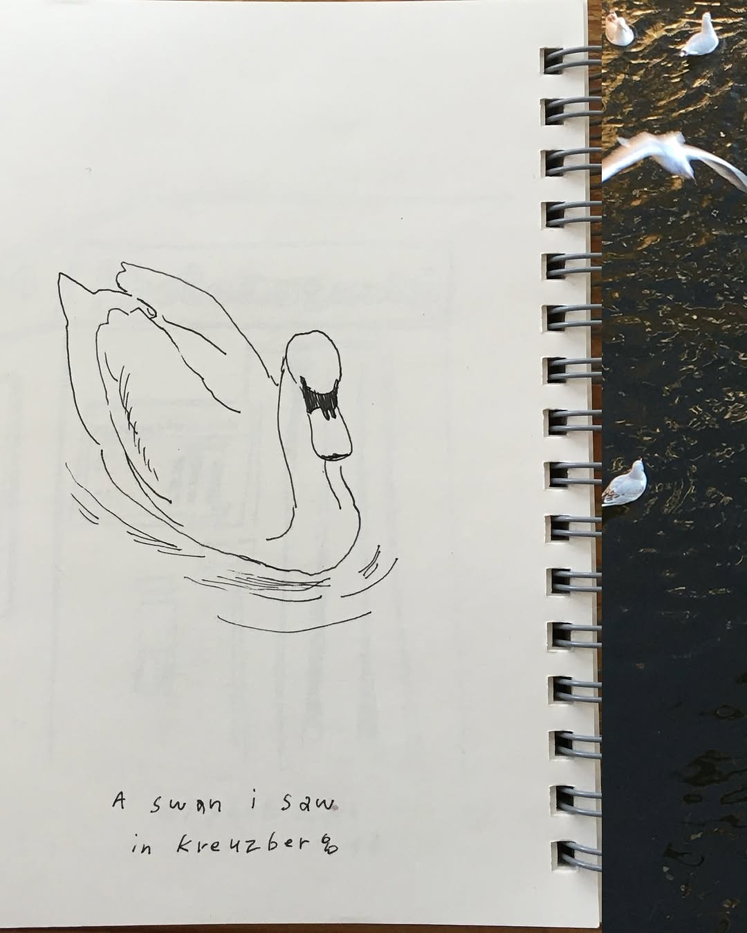 자전거, 오토바이, Lettering, 자동차