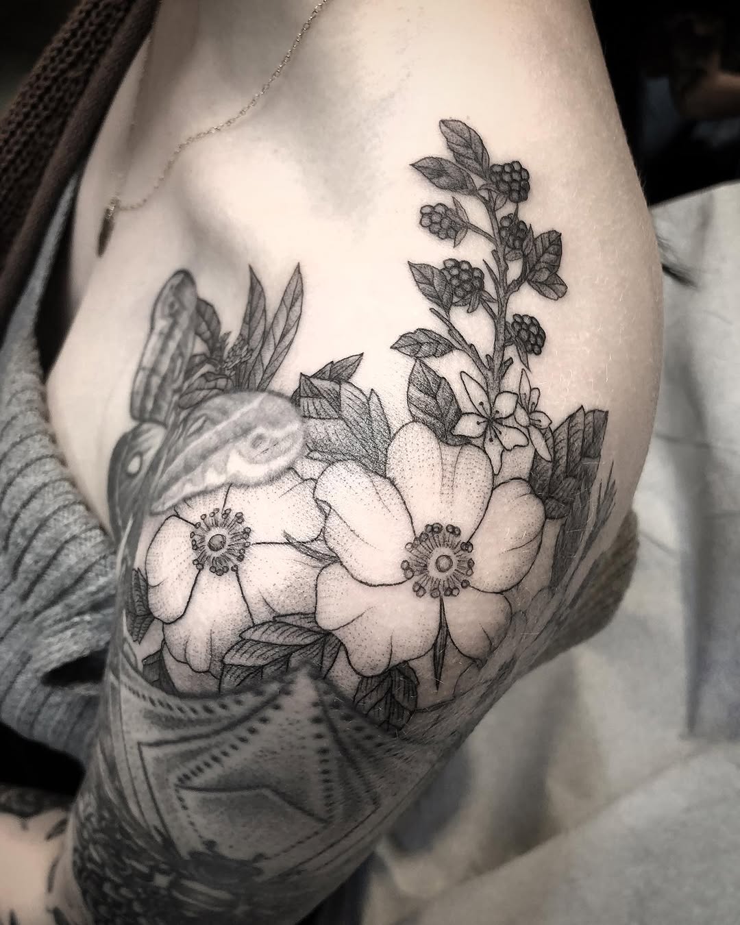 Flower, Rose
