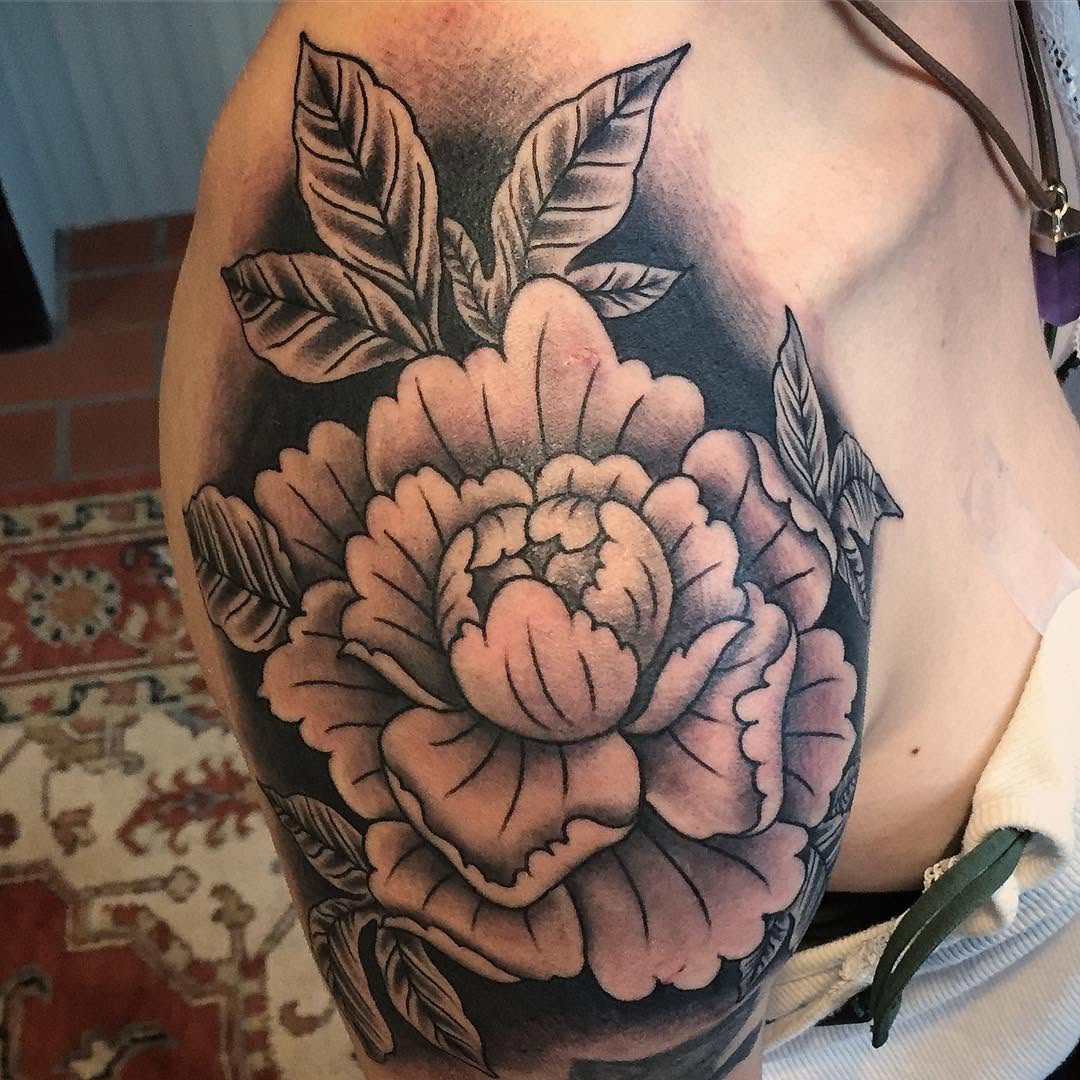 Flower, Rose, Nature