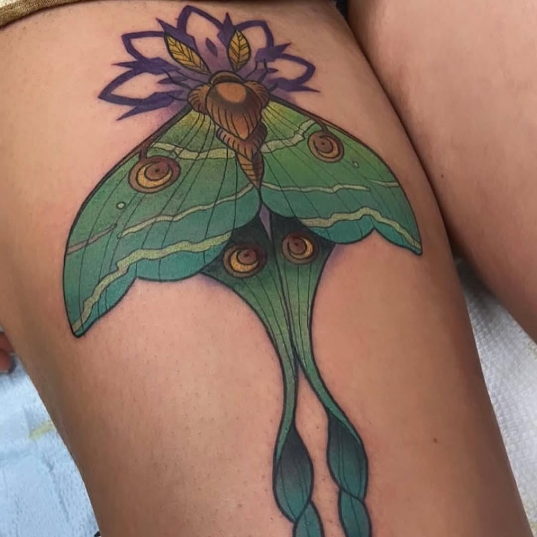 sarastigmata
