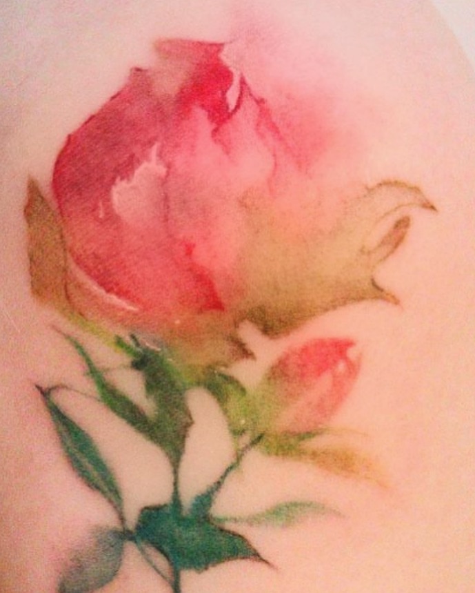 Flower, Rose