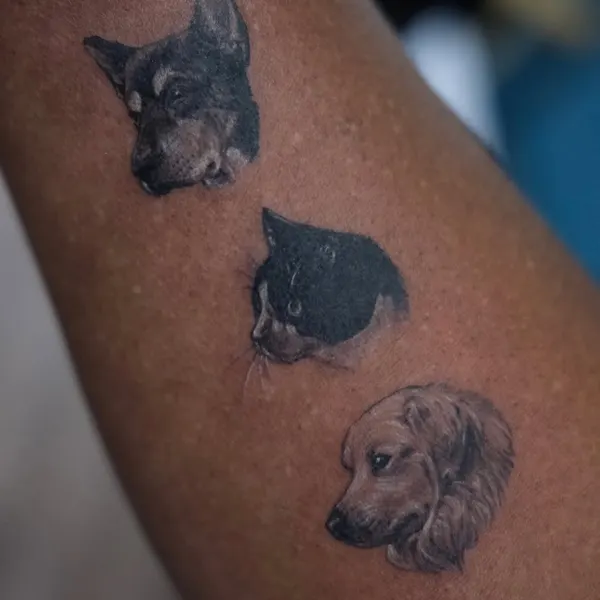 Animal