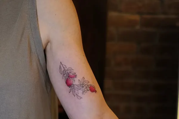 Flower, Rose