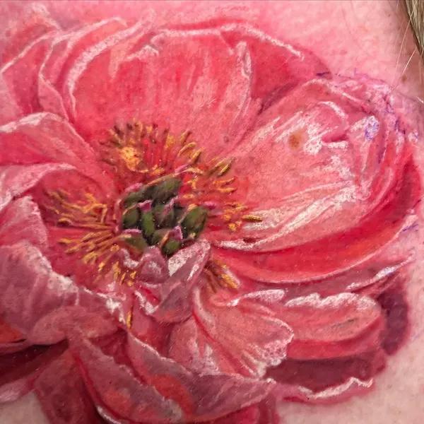 Flower, Rose