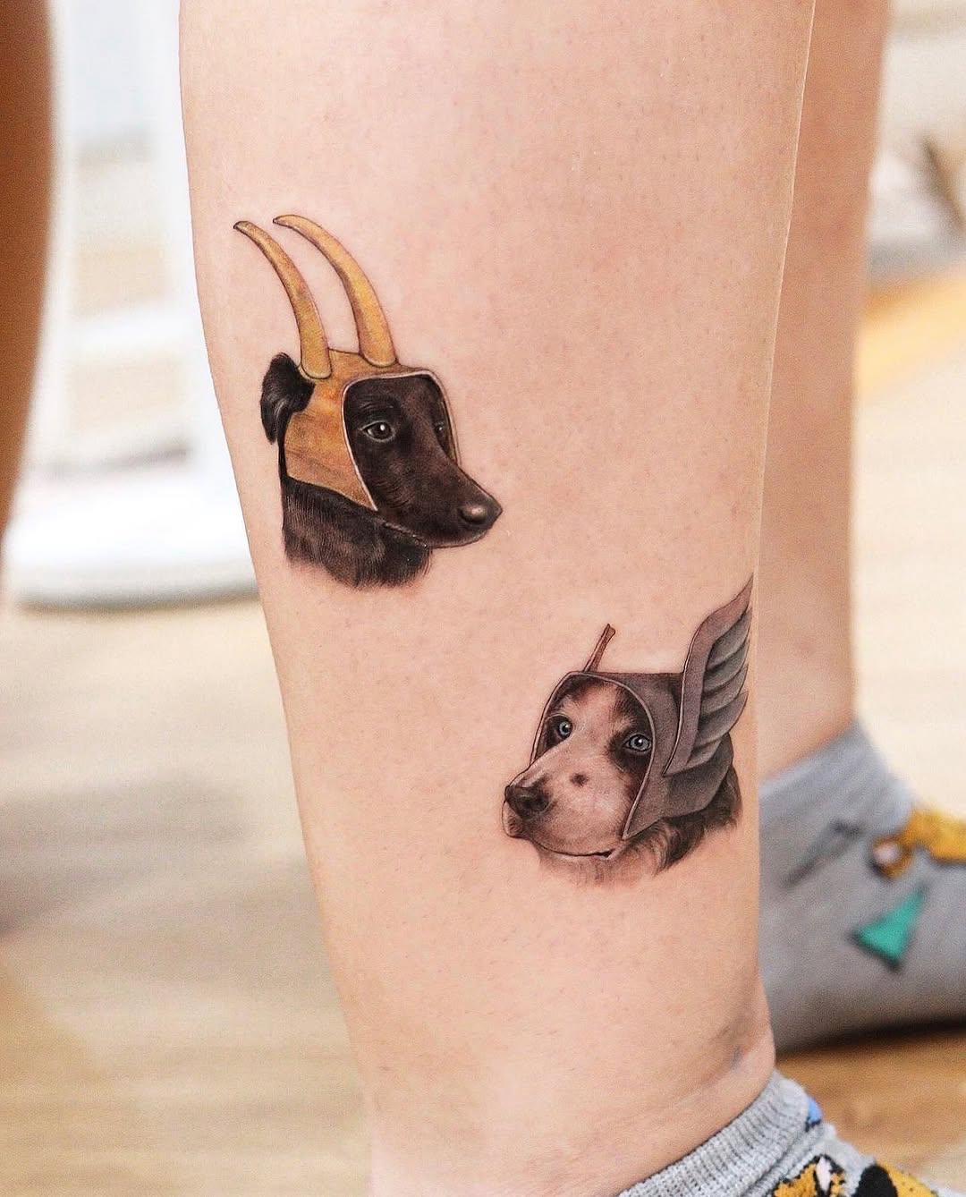 Animal