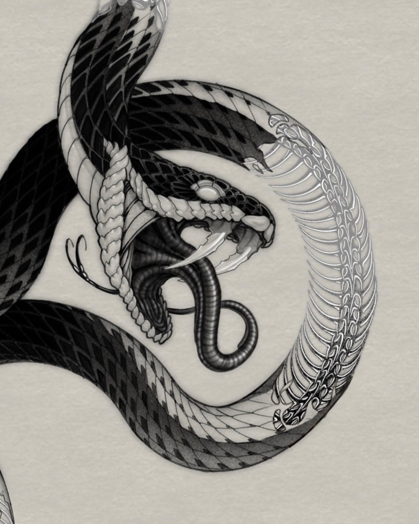 Snake, Dragon
