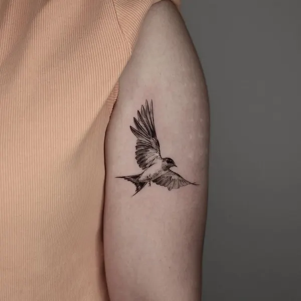 40.tatt