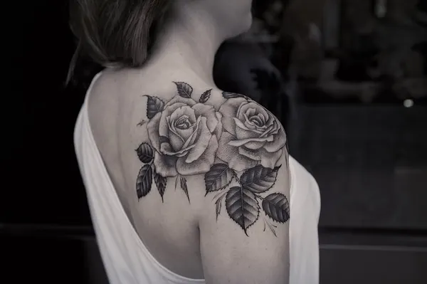 Flower, Rose, Nature