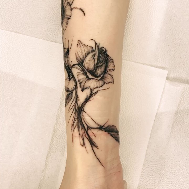 Flower, Rose