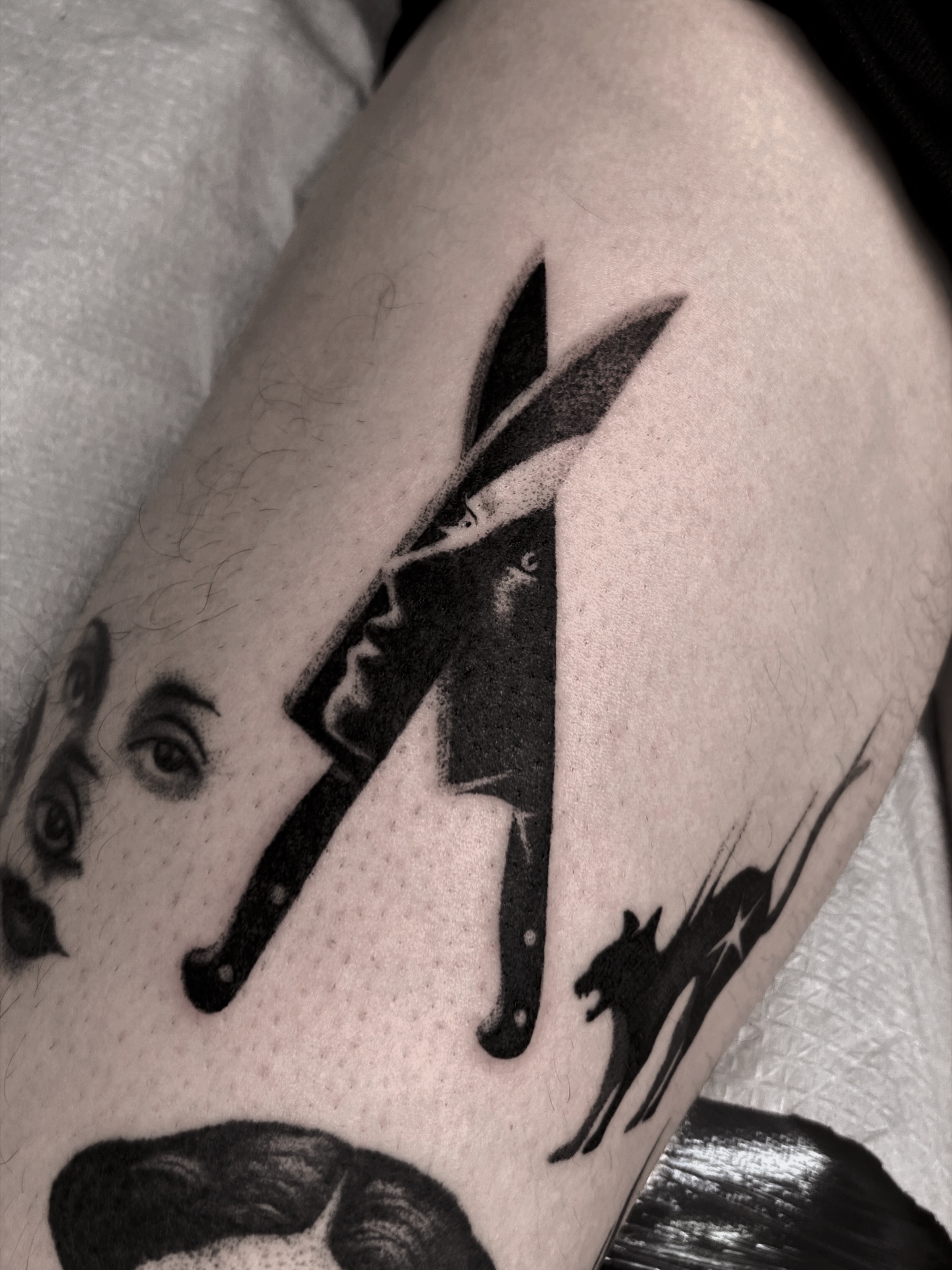 noia_________