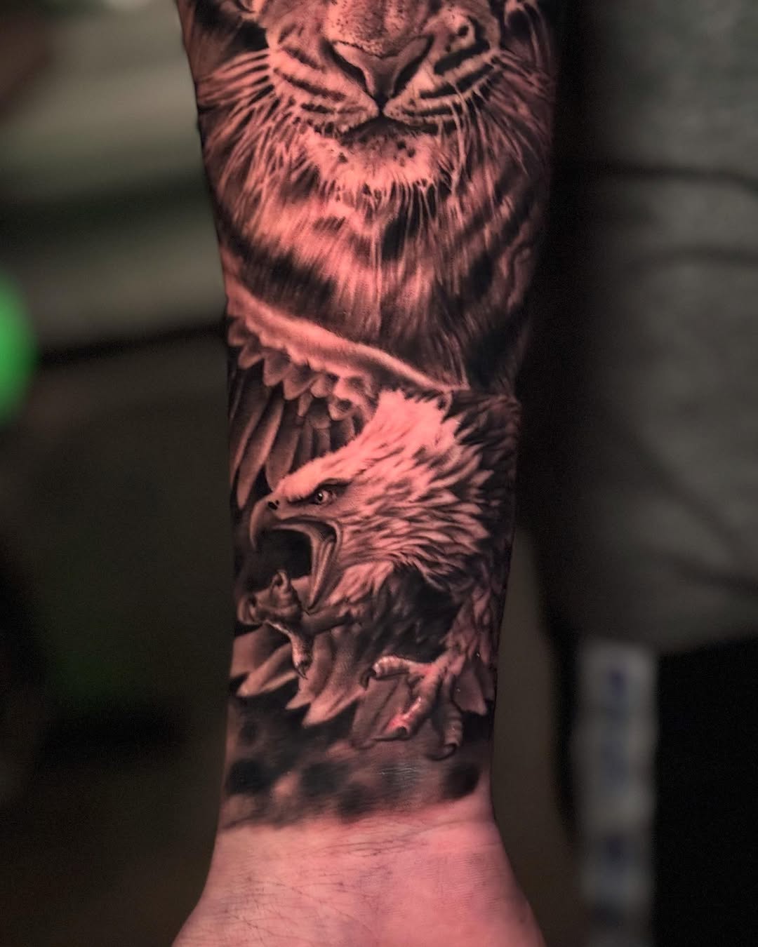 Tiger, 한국 호랑이