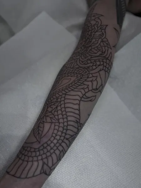 Dragon
