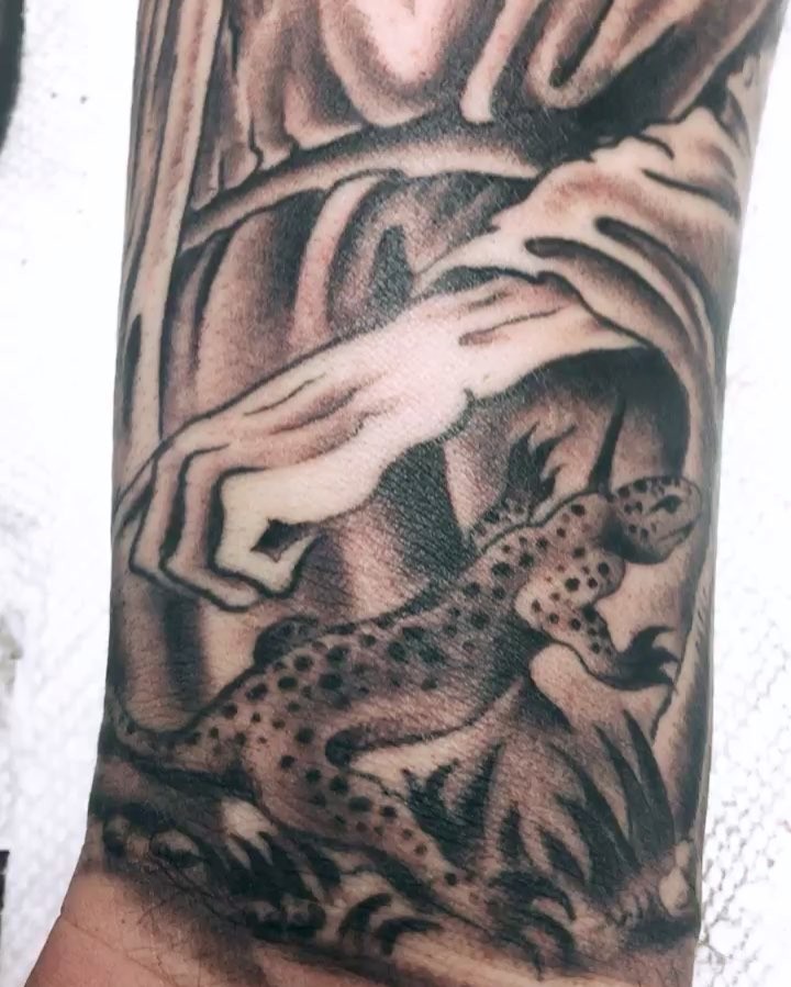 Tiger, Dragon