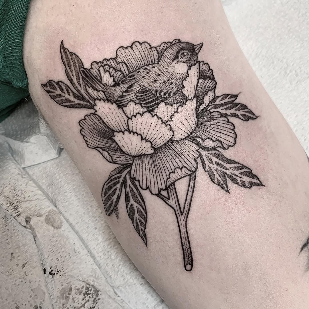 Flower, Rose