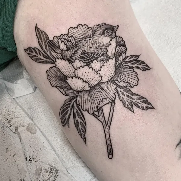 Flower, Rose