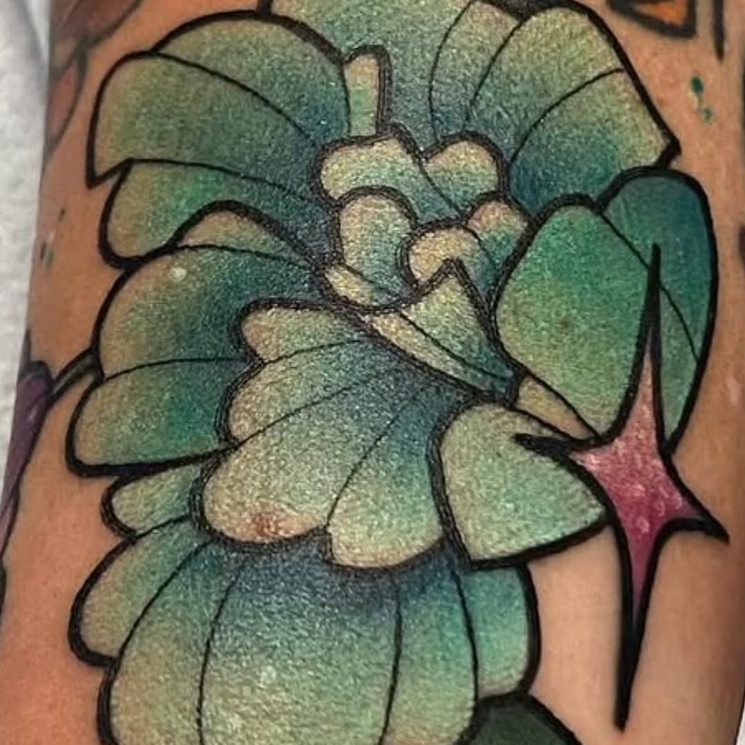 sarastigmata
