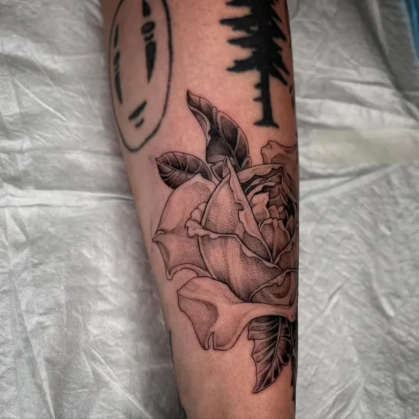 Flower, Rose