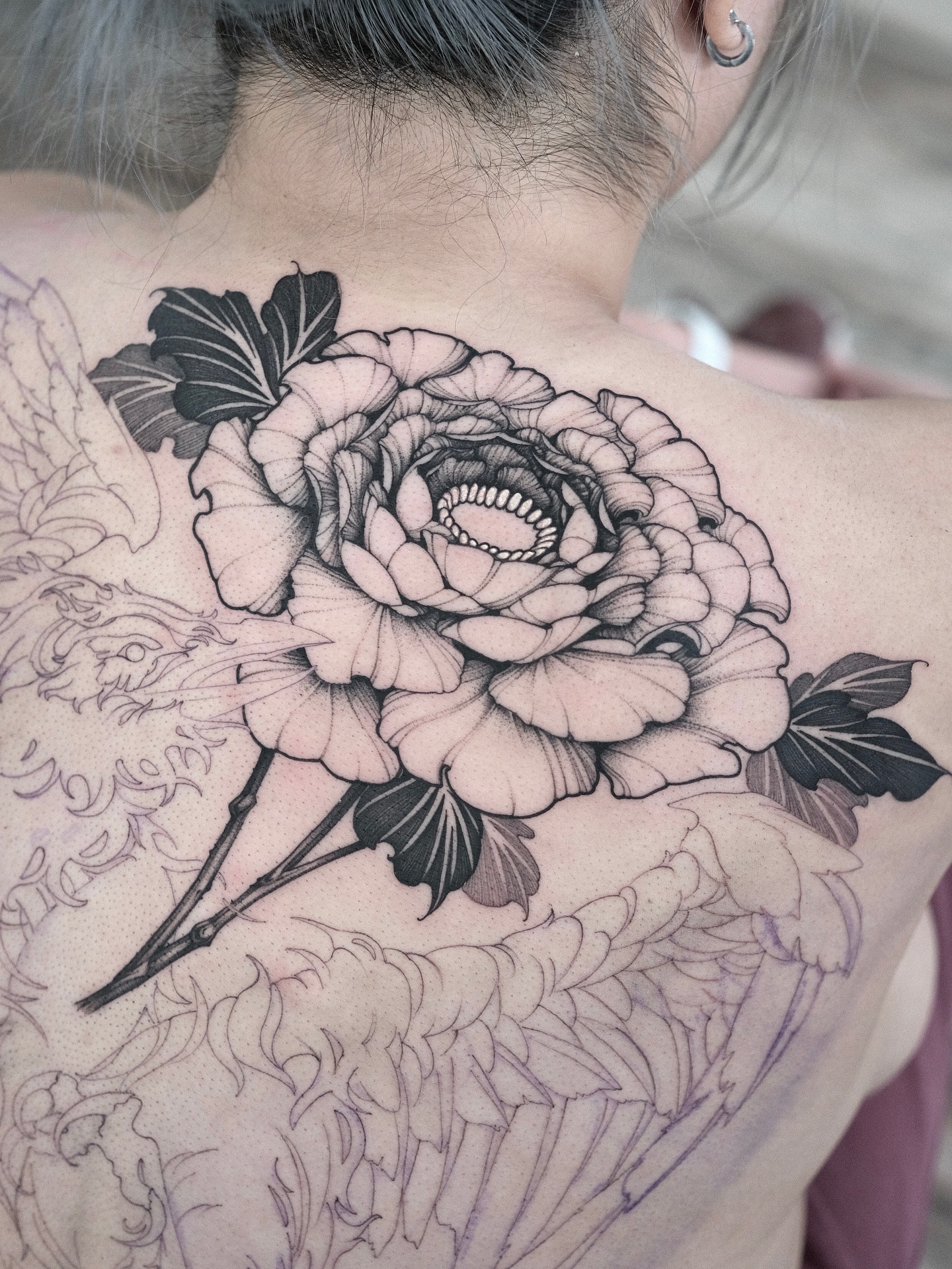 Flower, Rose, Nature