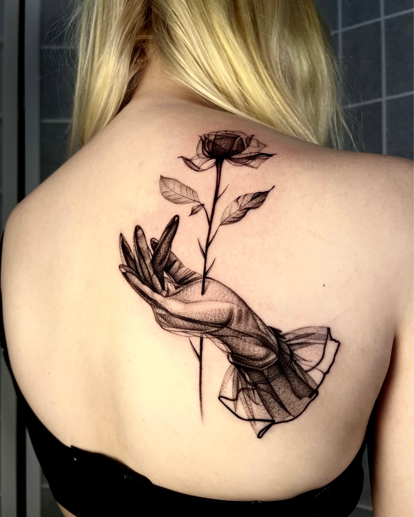 Rose, Nature, Flower