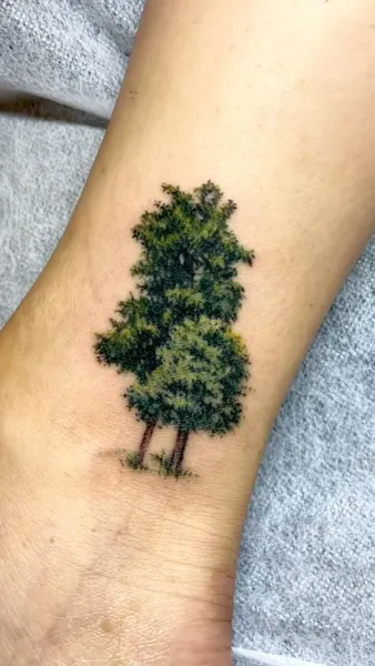 Nature, Mini, 숲, 나무