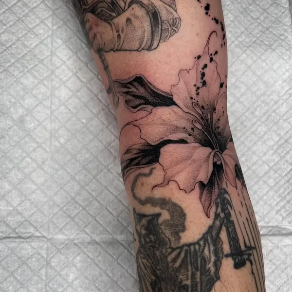 Flower, Rose