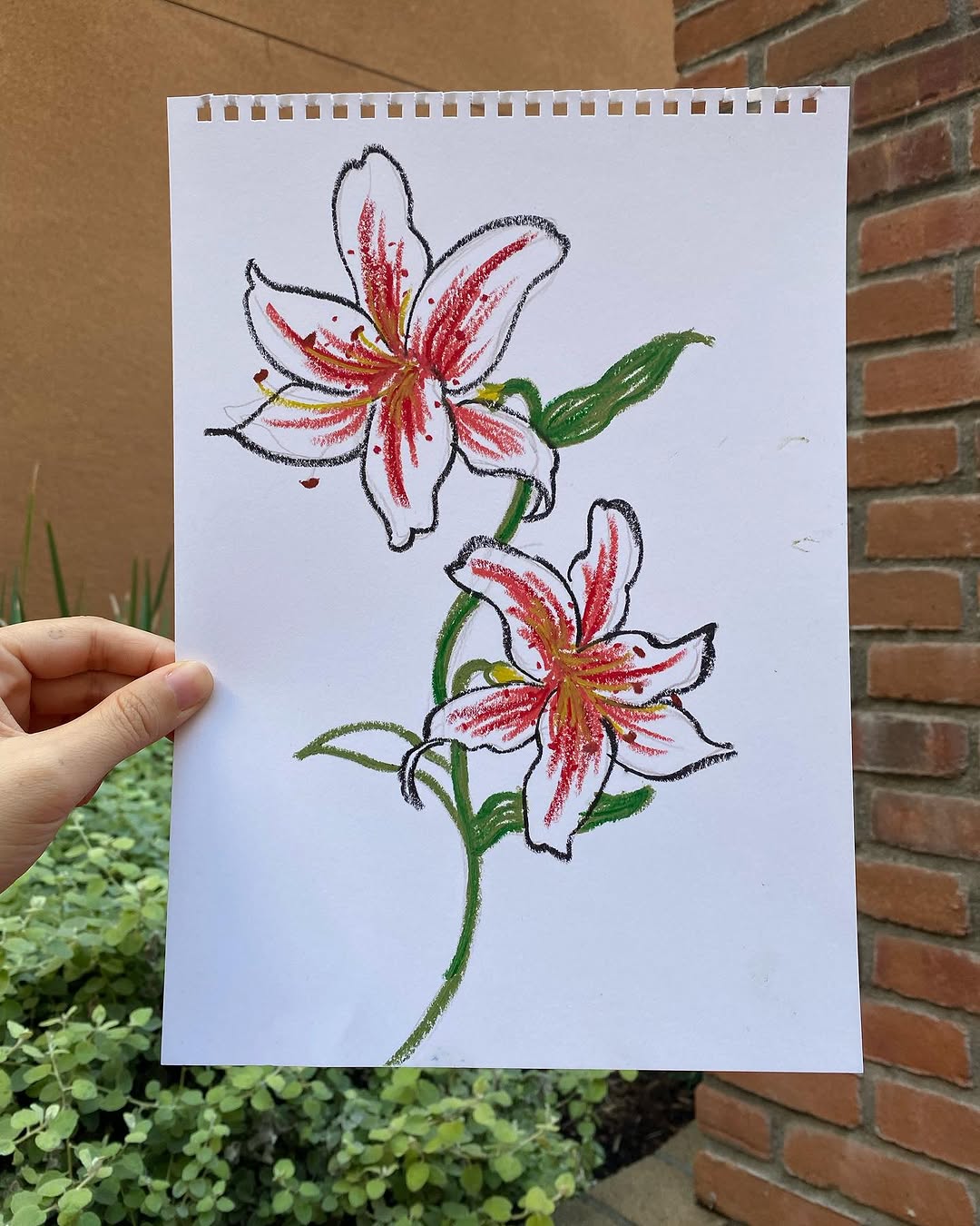 Flower
