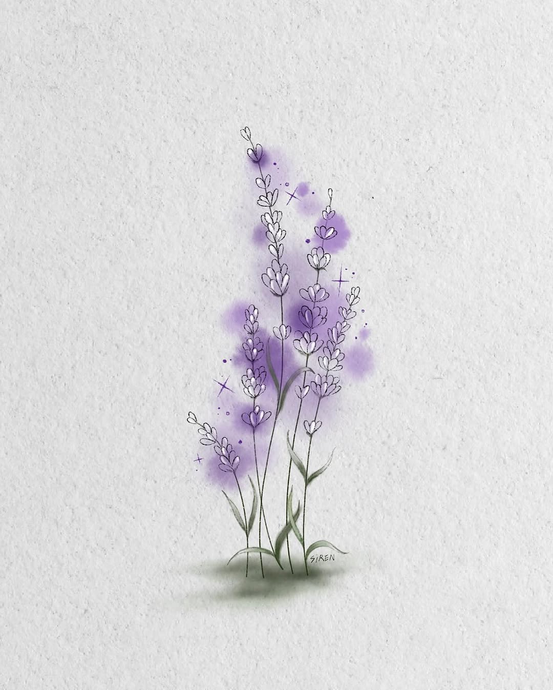 Flower, Nature