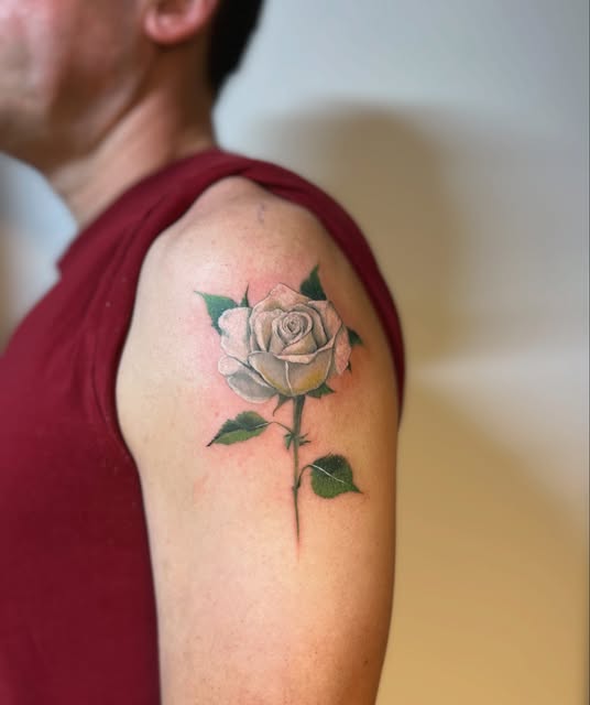 Flower, Rose, Nature
