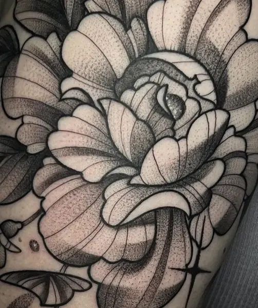 Flower, Rose