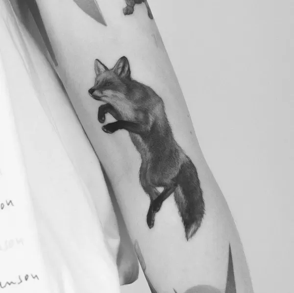 Animal