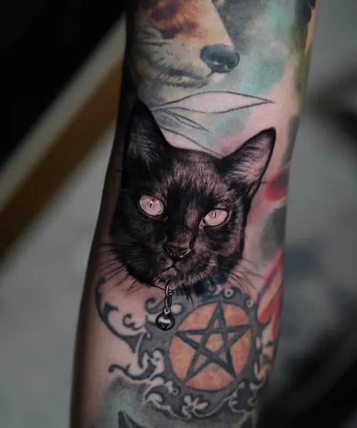 Animal