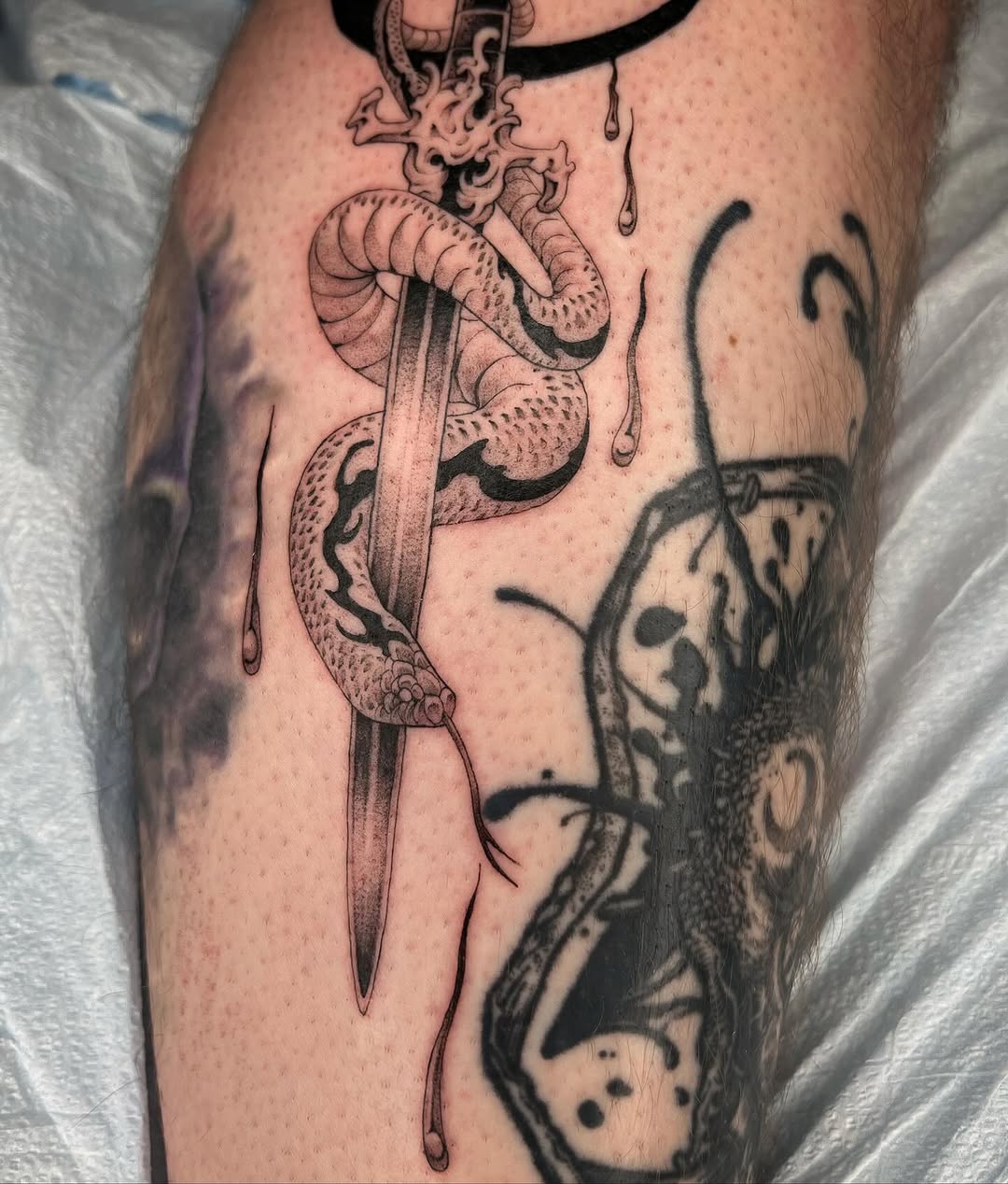 Snake