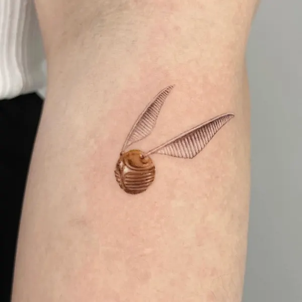 조개껍데기, Mini