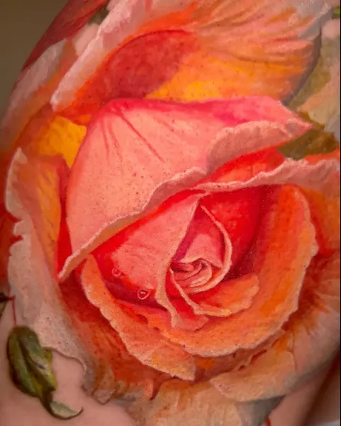 Flower, Rose