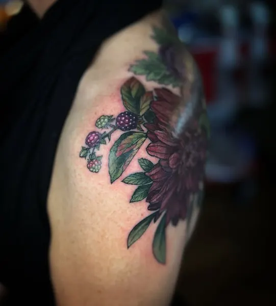 Flower, Rose, Nature