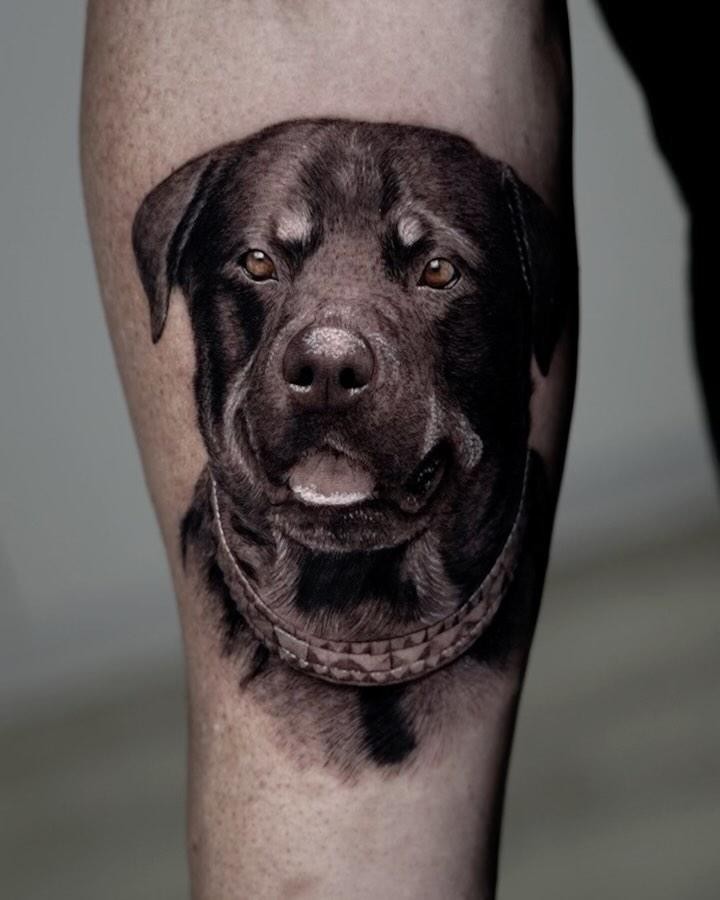 Animal