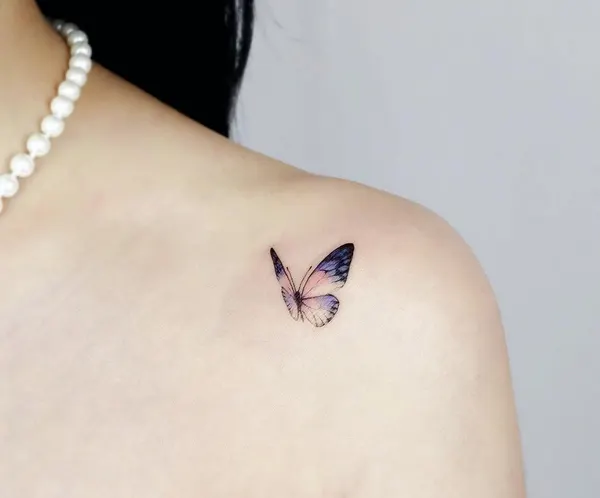 Animal, 나비