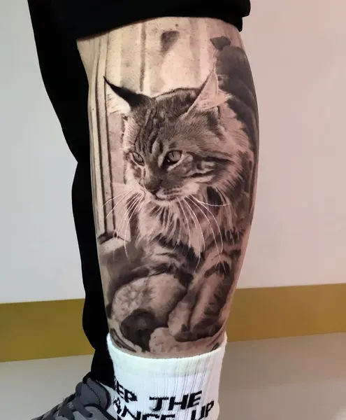 Animal