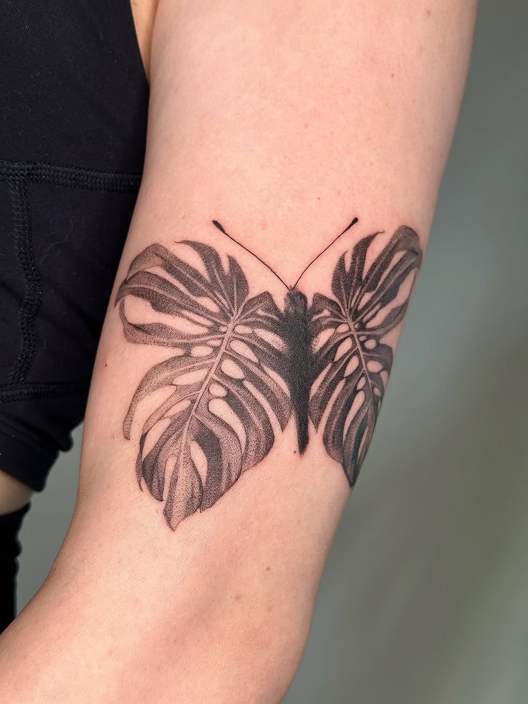 plantsnpokes