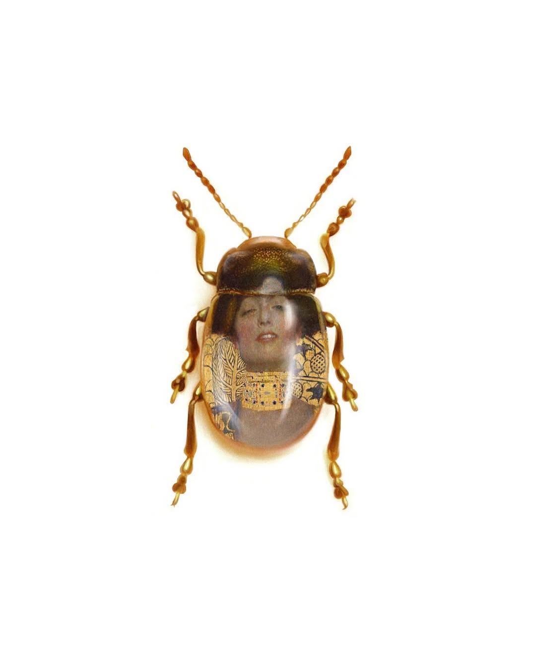 caotida