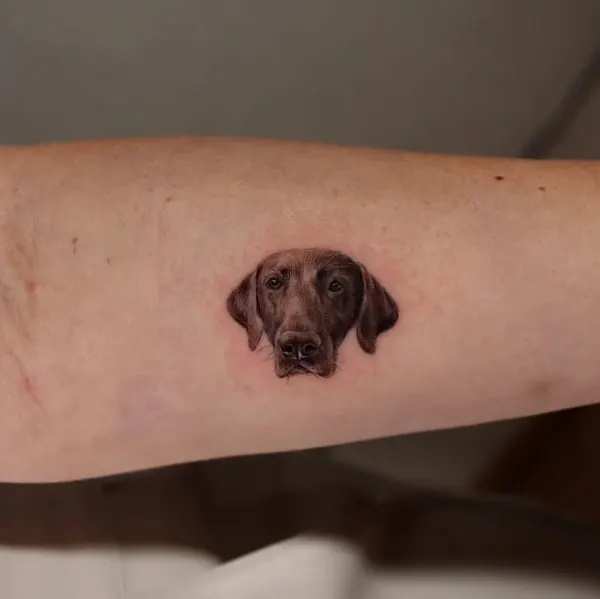 inkedlifemiami