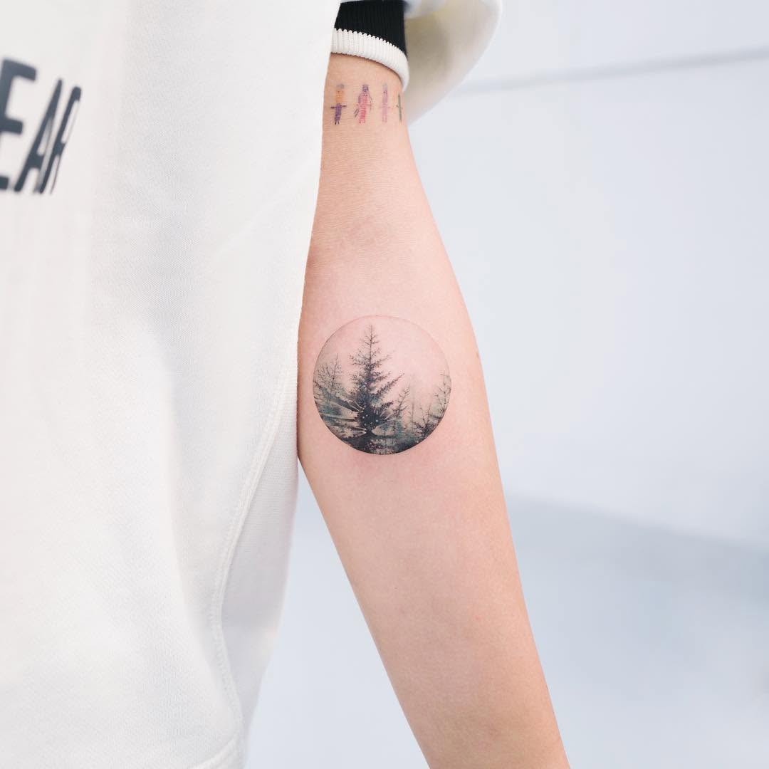 Nature, 소나무