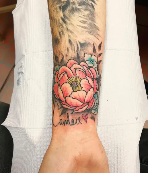 Flower, Rose
