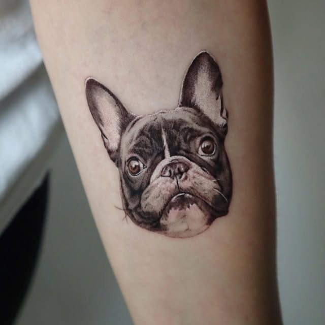 kate_sv_art