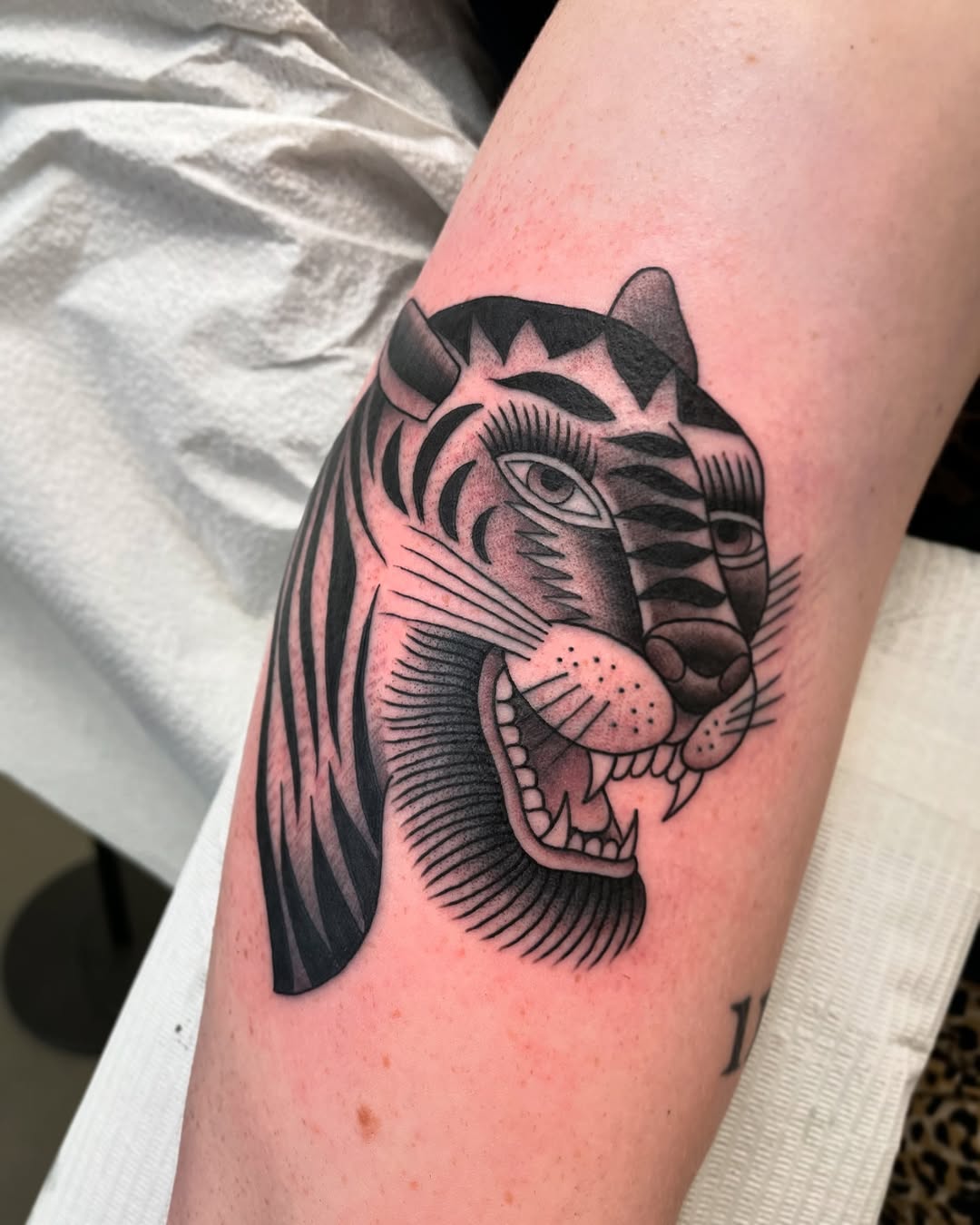 Tiger, Animal