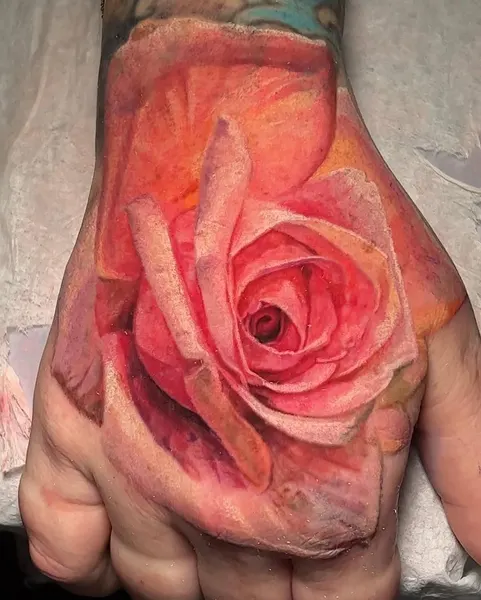 Flower, Rose
