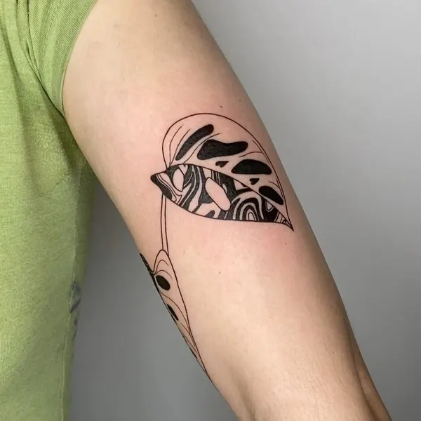 plantsnpokes