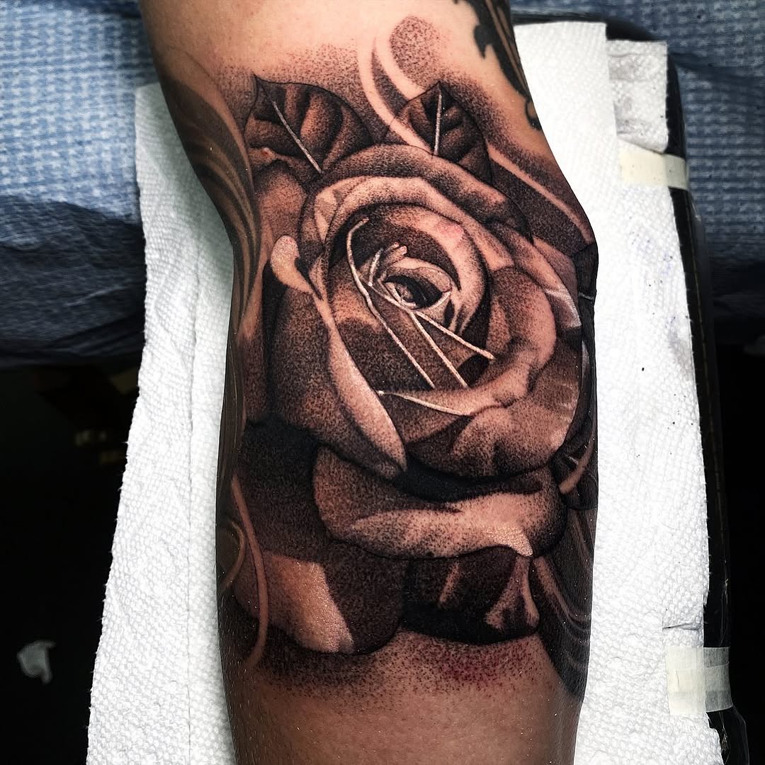 Flower, Rose