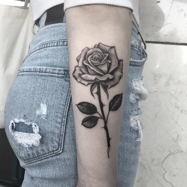 Flower, Rose